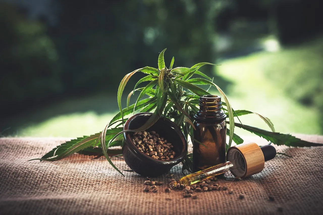 Roda de conversa em Santos discute cannabis medicinal