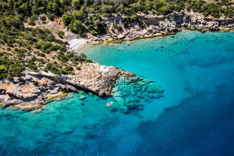 Biodiversidade do Mar Mediterrâneo precisa de proteção urgente