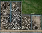 ​World’s largest meat company faces legal challenge over green credentials of $6bn global expansion