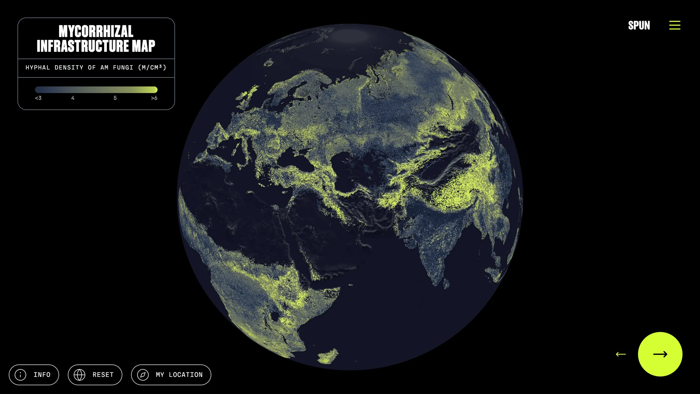 Cientistas Revelam Mapa Global de Redes Fúngicas Subterrâneas