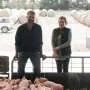 Iniciativa destaca saúde mental entre agricultores australianos