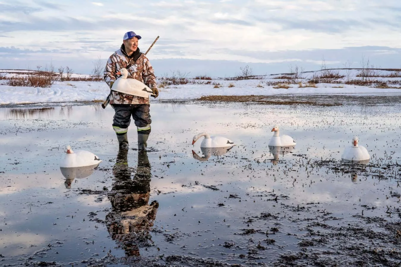 Imagens evocativas do Ártico canadense ganham prêmio da New Scientist