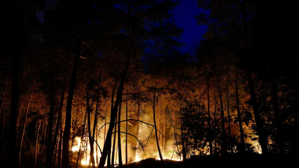 Incêndio florestal atinge 800 hectares na Floresta de Fontainebleau, França