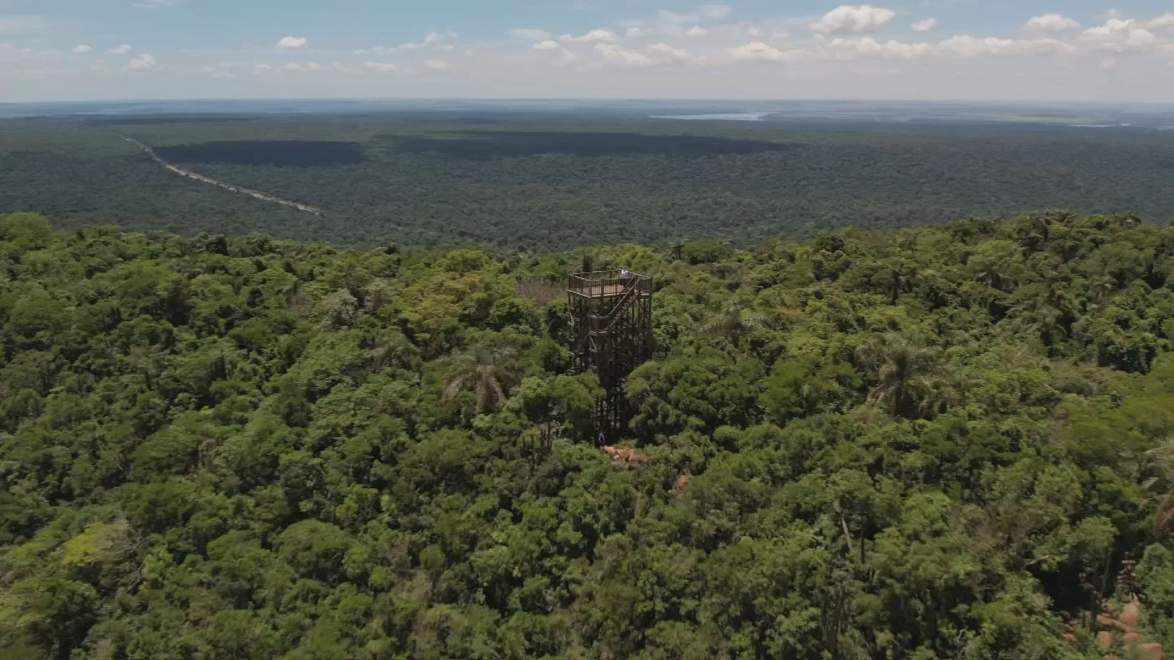 Parque Estadual Morro do Diabo preserva maior remanescente de Mata Atlântica do interior paulista