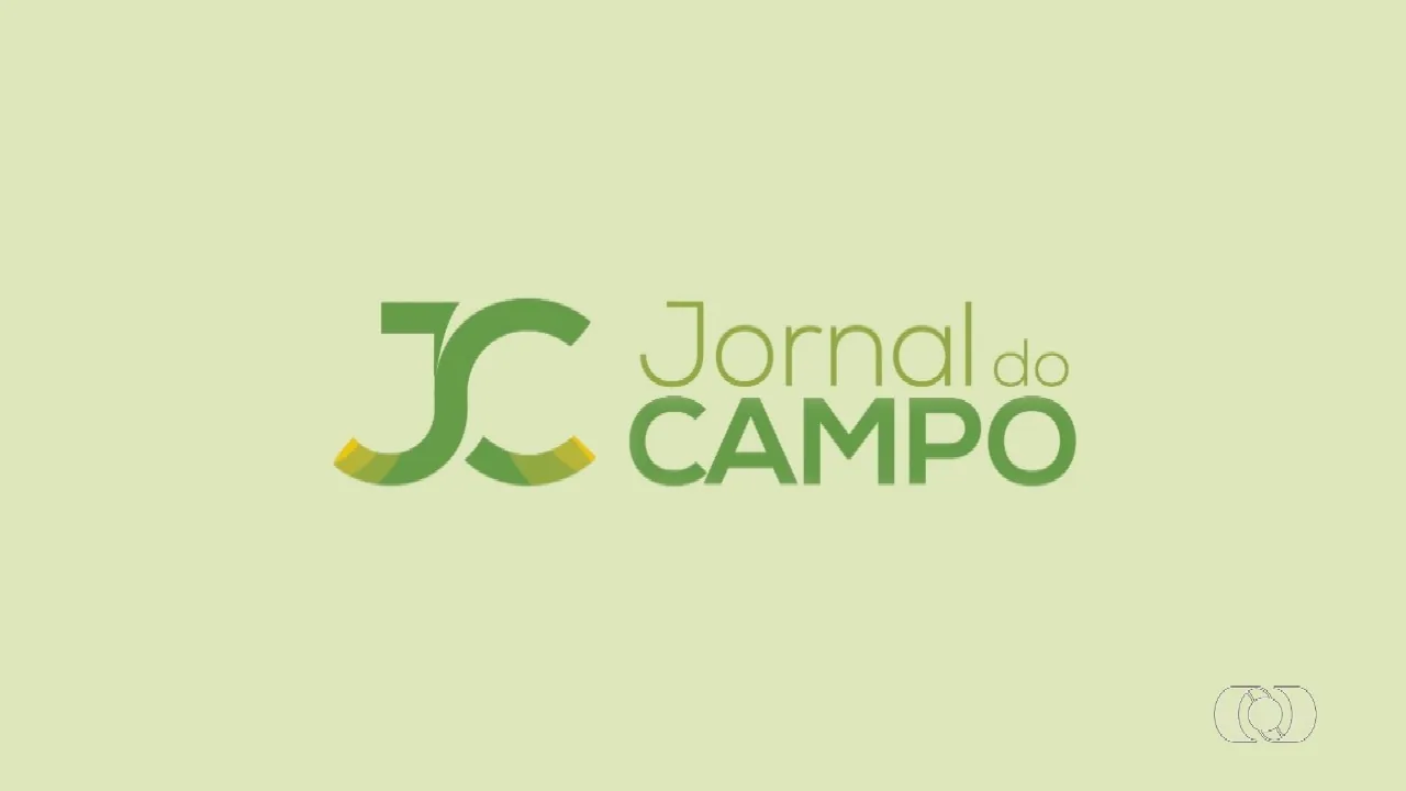 Hino da Espanha: Entenda por que não possui letra
