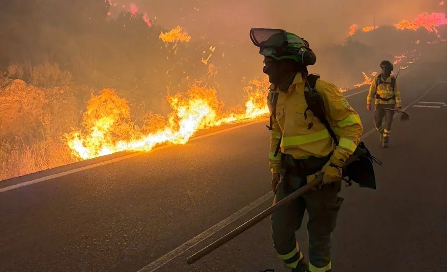 Incêndio florestal no sul da Espanha resulta em 12 mortes