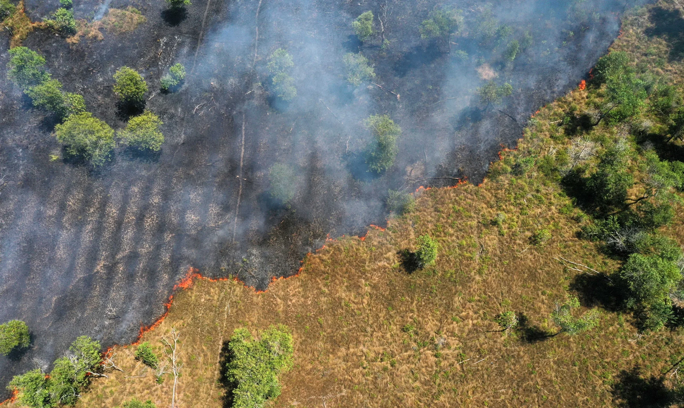 FAS promove debate gratuito sobre caminhos para o desmatamento zero e ação climática na Amazônia nesta quinta
