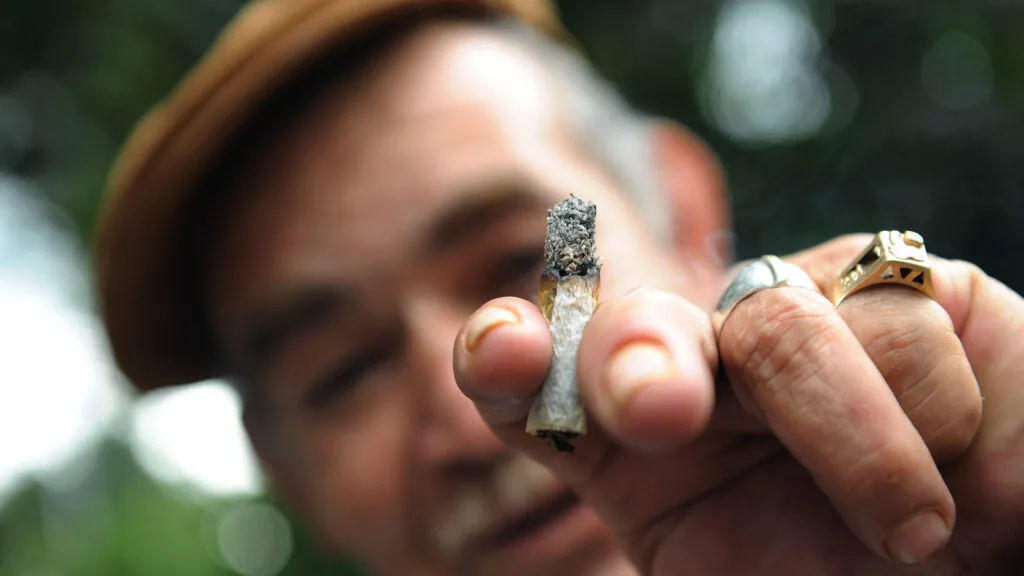 Uso de Cannabis entre Idosos: A Importância da Orientação Médica