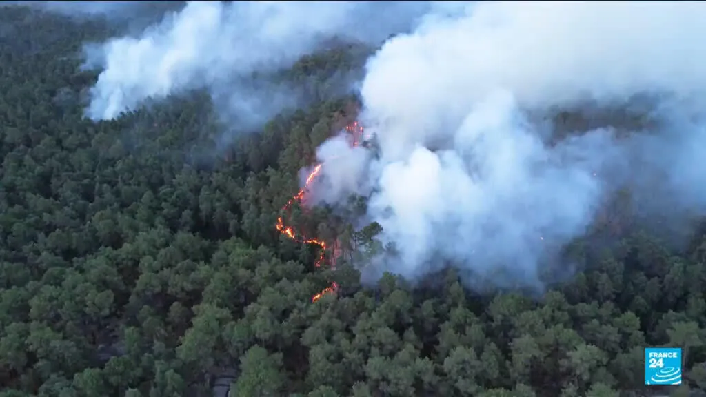 França: 2.000 hectares devastados em incêndios florestais