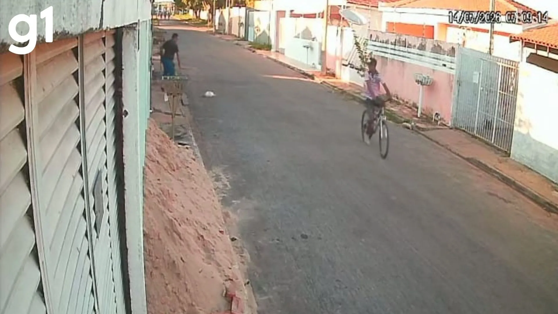 Homem é detido após agredir gato até a morte em Cáceres (MT)
