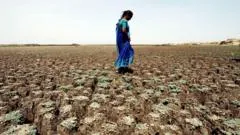 Farming worries after India records driest June in over a decade