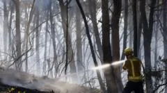 Doze pessoas morrem em incêndio florestal na Espanha