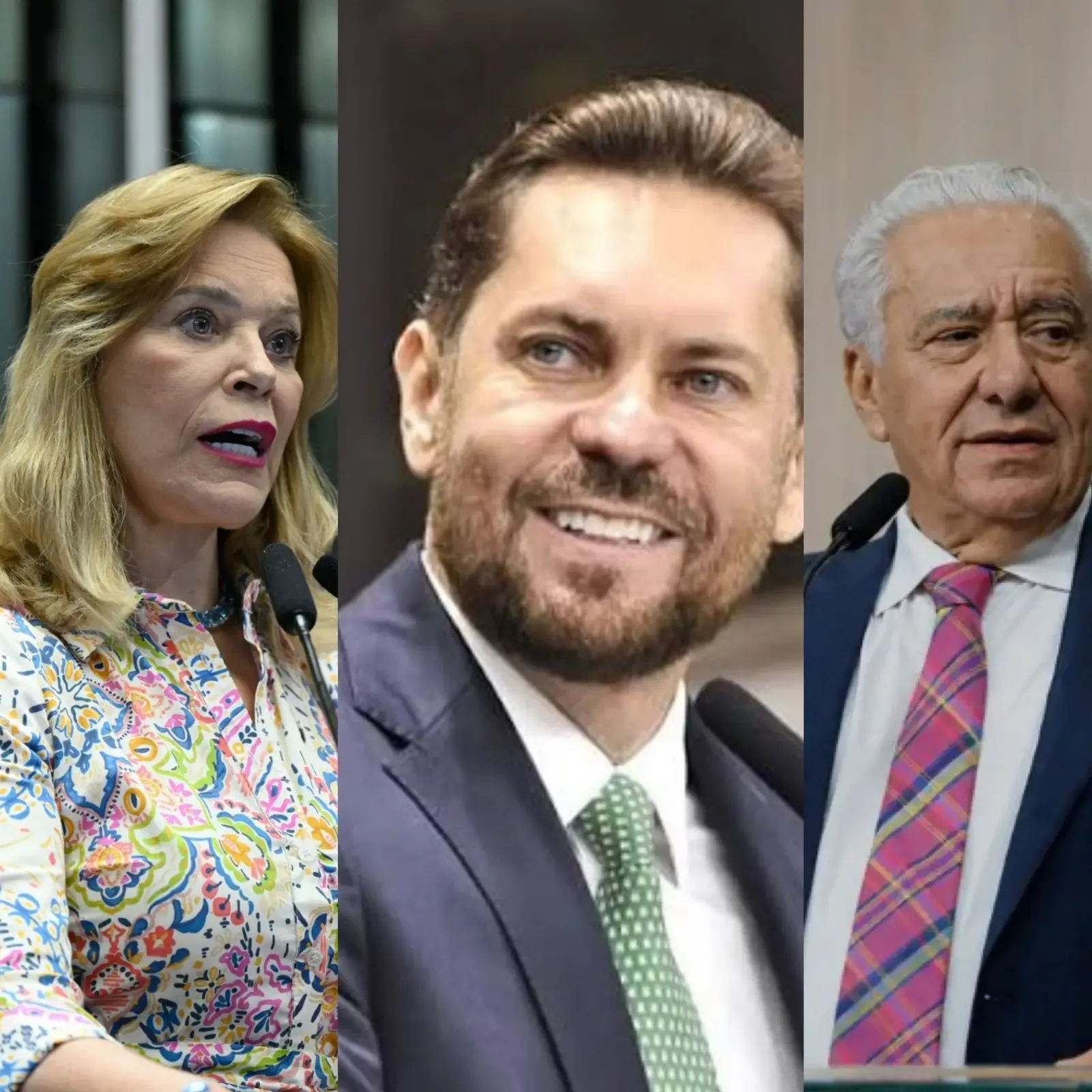 O perfil ideal para a vice de Daniel Vilela