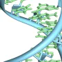 Enzima reparadora de RNA revela como a vida primordial poderia ter protegido genomas