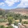 Pesquisadores revelam valor histórico e genético das videiras de Tigray