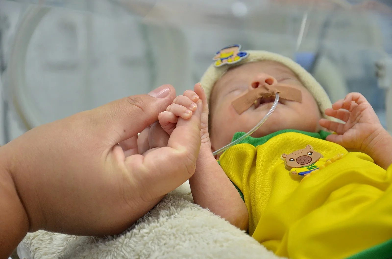 Recém-nascidos se vestem com as cores do Brasil em maternidade para Copa do Mundo