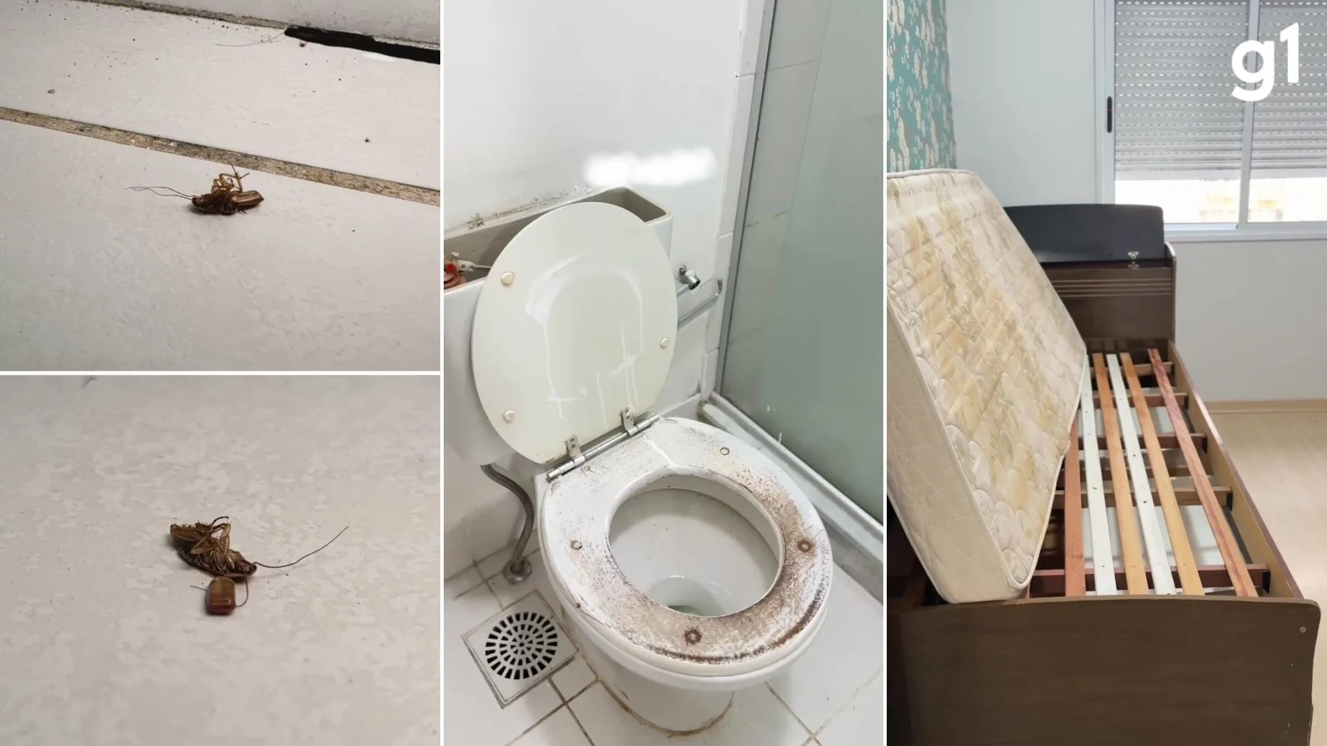 Apartamento devolvido em péssimas condições gera alerta em Porto Alegre