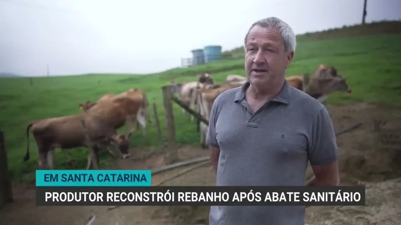 Produtor de Santa Catarina se reergue após perder rebanho para tuberculose