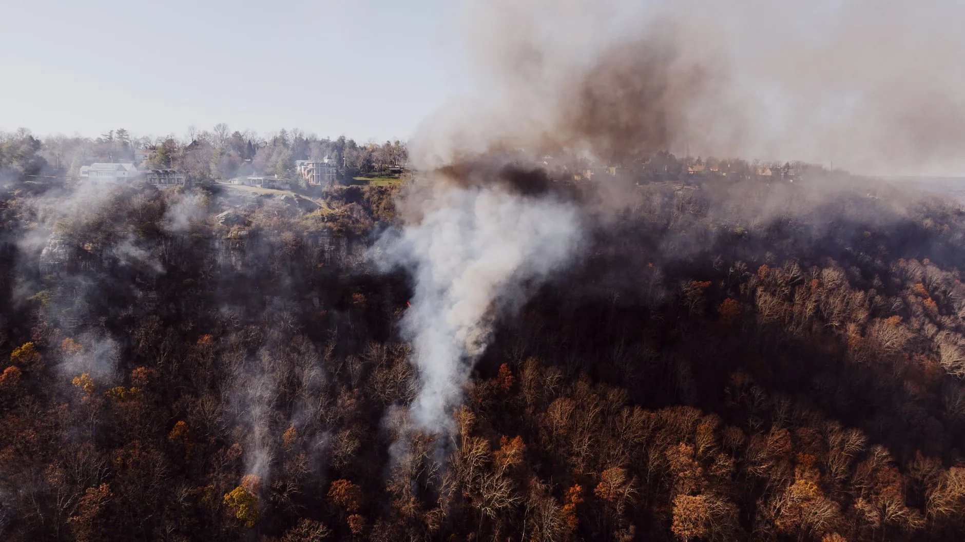 Balanço: Incêndios Florestais e Desafios Ambientais na Europa e América