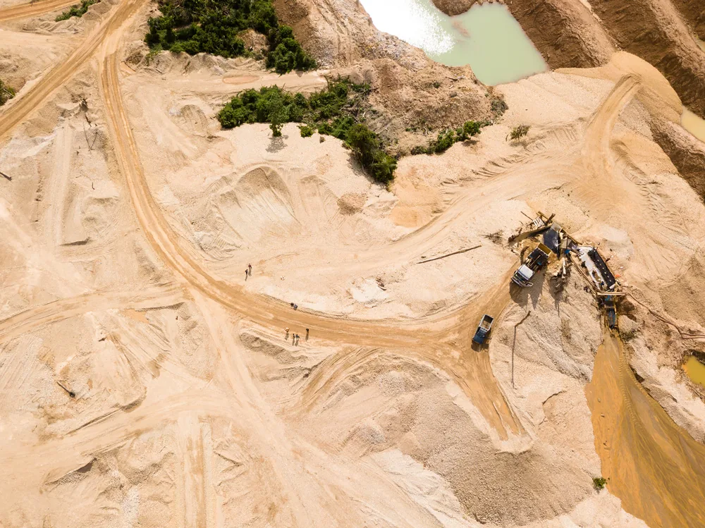 USP desenvolve mapa de isótopos para combater madeira ilegal na Amazônia