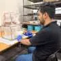 Mosquitos desenvolvem resistência a inseticida comum, alerta estudo