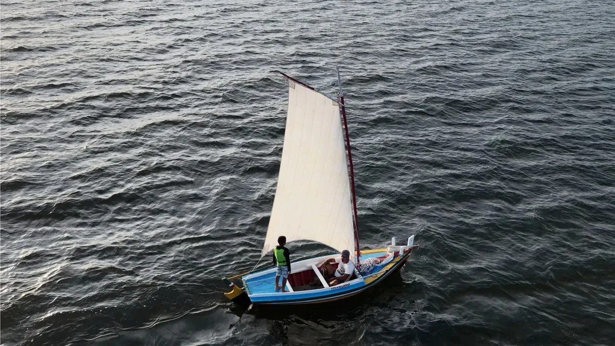 Curso gratuito de arquitetura naval tradicional abre 50 vagas com bolsa de R$ 600 na Bahia