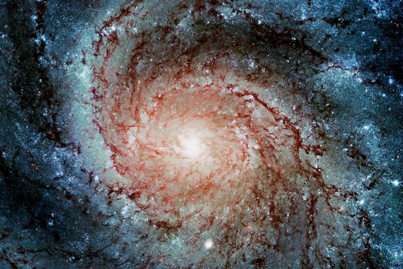 Everything from cells to stars to particles exists on the edge of chaos
