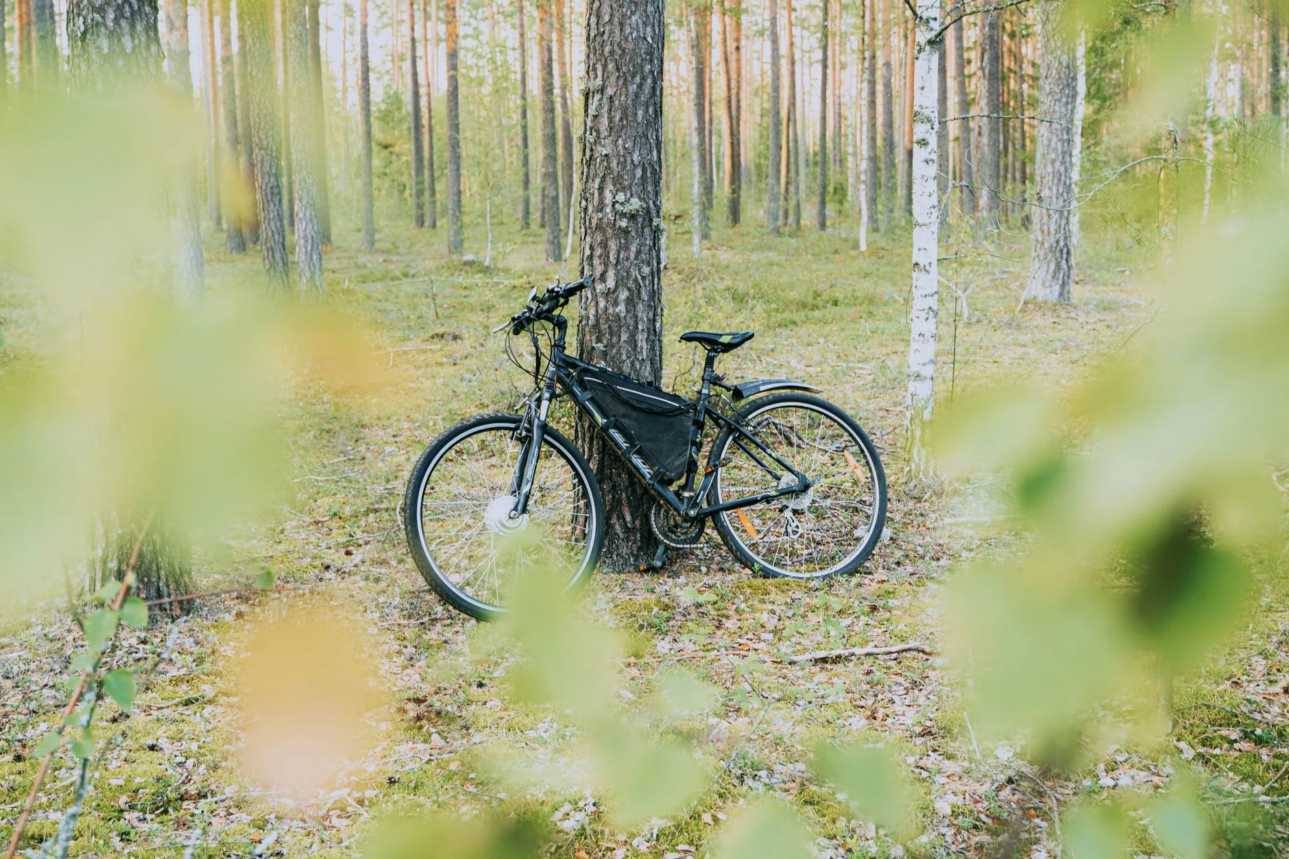 Kamingo transforma bicicletas comuns em elétricas com equipamento inovador