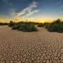 Droughts can boost inclusive institutions, social unity