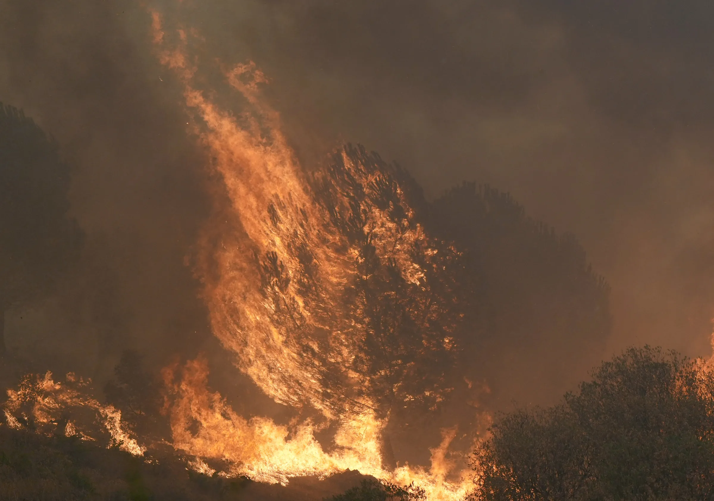 Incêndios florestais castigam a Europa;  veja VÍDEO