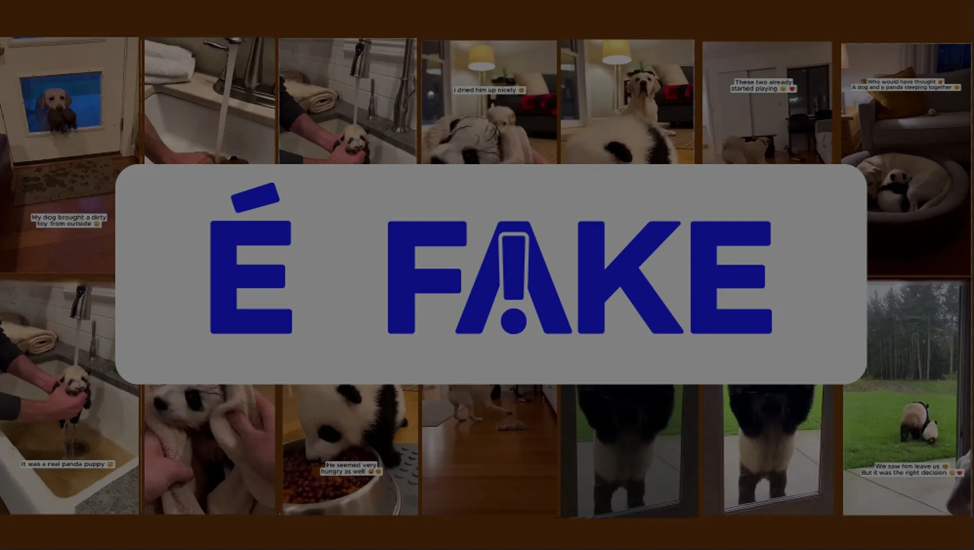 É #FAKE vídeo de cachorro entrando em casa com filhote de panda na boca; cena foi criada com inteligência artificial