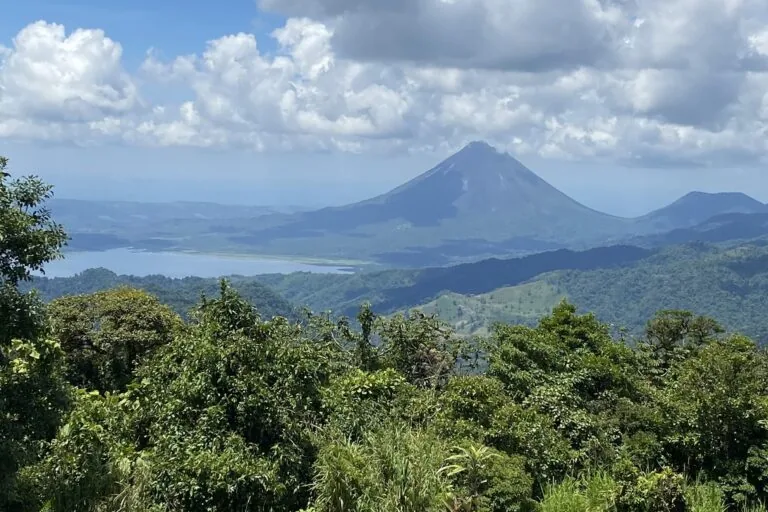 Fauna de montanhas tropicais enfrenta riscos elevados devido às mudanças climáticas, aponta estudo