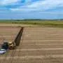 Envisioning the next 150 years of crop research with the Alma Mater Plots