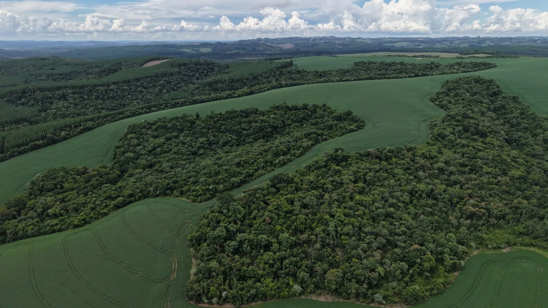Análise: A Nova Relação dos Brasileiros com a Natureza e o Consumo