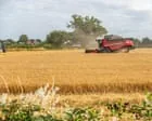 Food price fears after Europe’s heatwave destroys estimated €2bn of crops