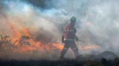Escoceses são alertados a 'permanecer vigilantes' com risco elevado de incêndios florestais