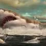 Fósseis do Megalodon são redescobertos em museu dinamarquês