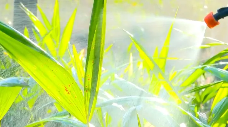 Produção de biofertilizantes: guia prático da Embrapa