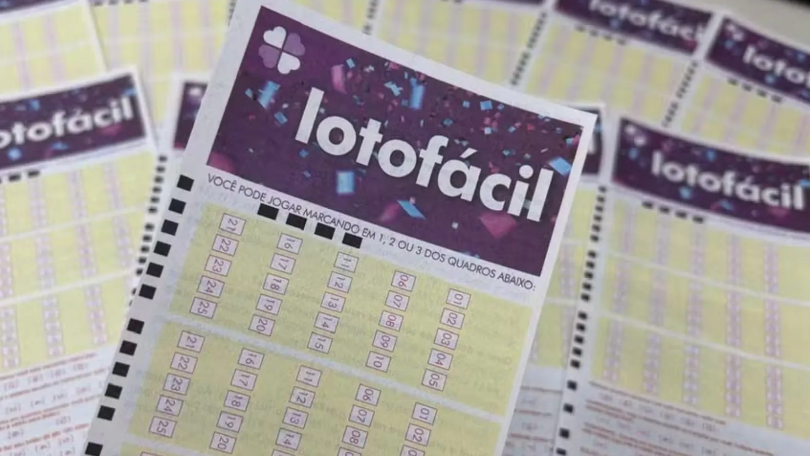 Resultado da Lotofácil 3736: cinco apostas do Piauí acertam números; veja valores