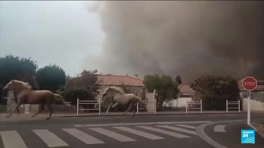 Incêndios florestais devastam o sudoeste da França: milhares enfrentam evacuação