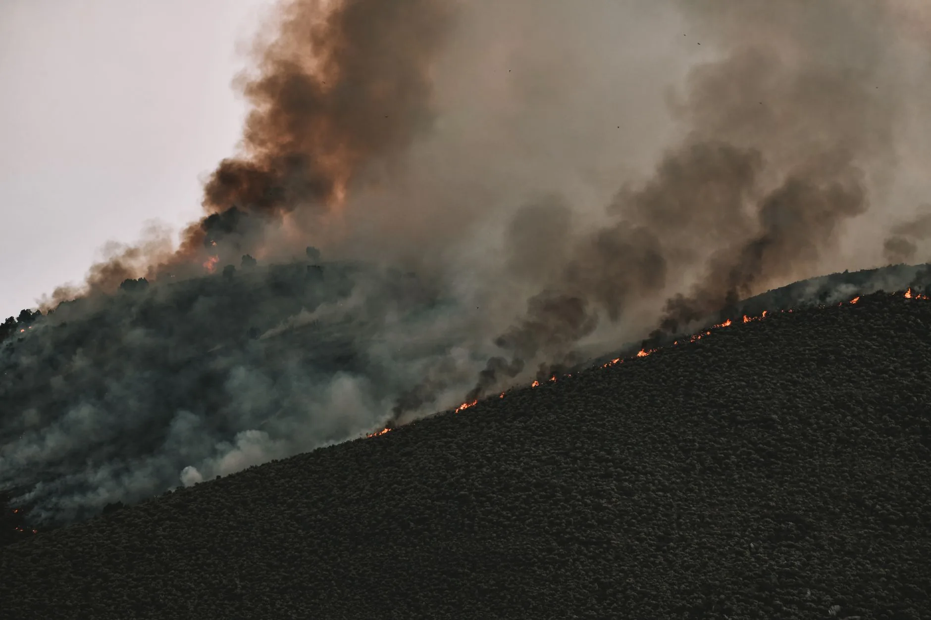Perguntas e respostas: Incêndios Florestais e Qualidade do Ar