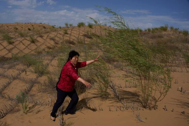 China desenvolve 'Grande Muralha Verde' para combater desertificação