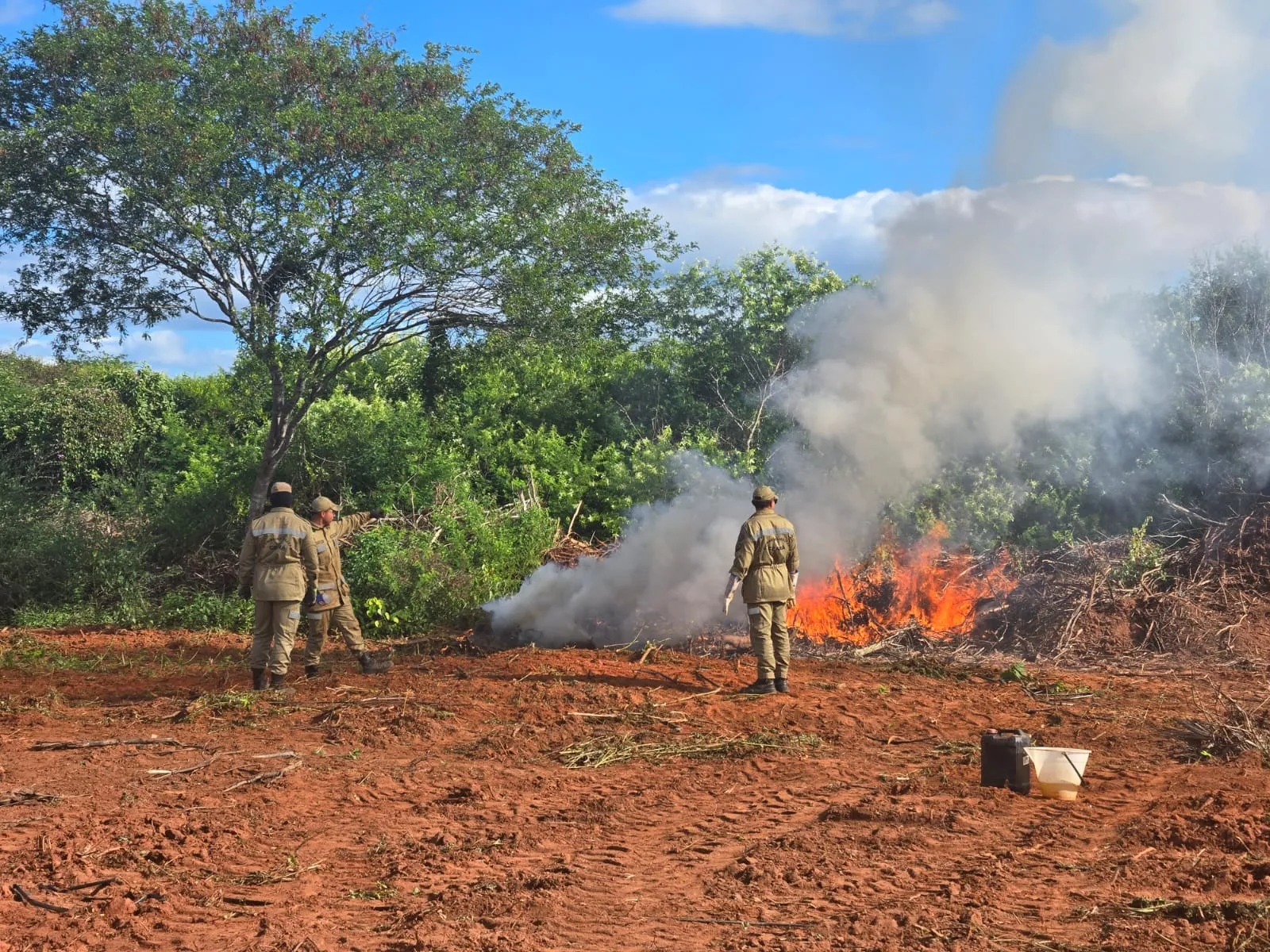 Polícia Civil conclui operação de destruição de maconha em Acopiara