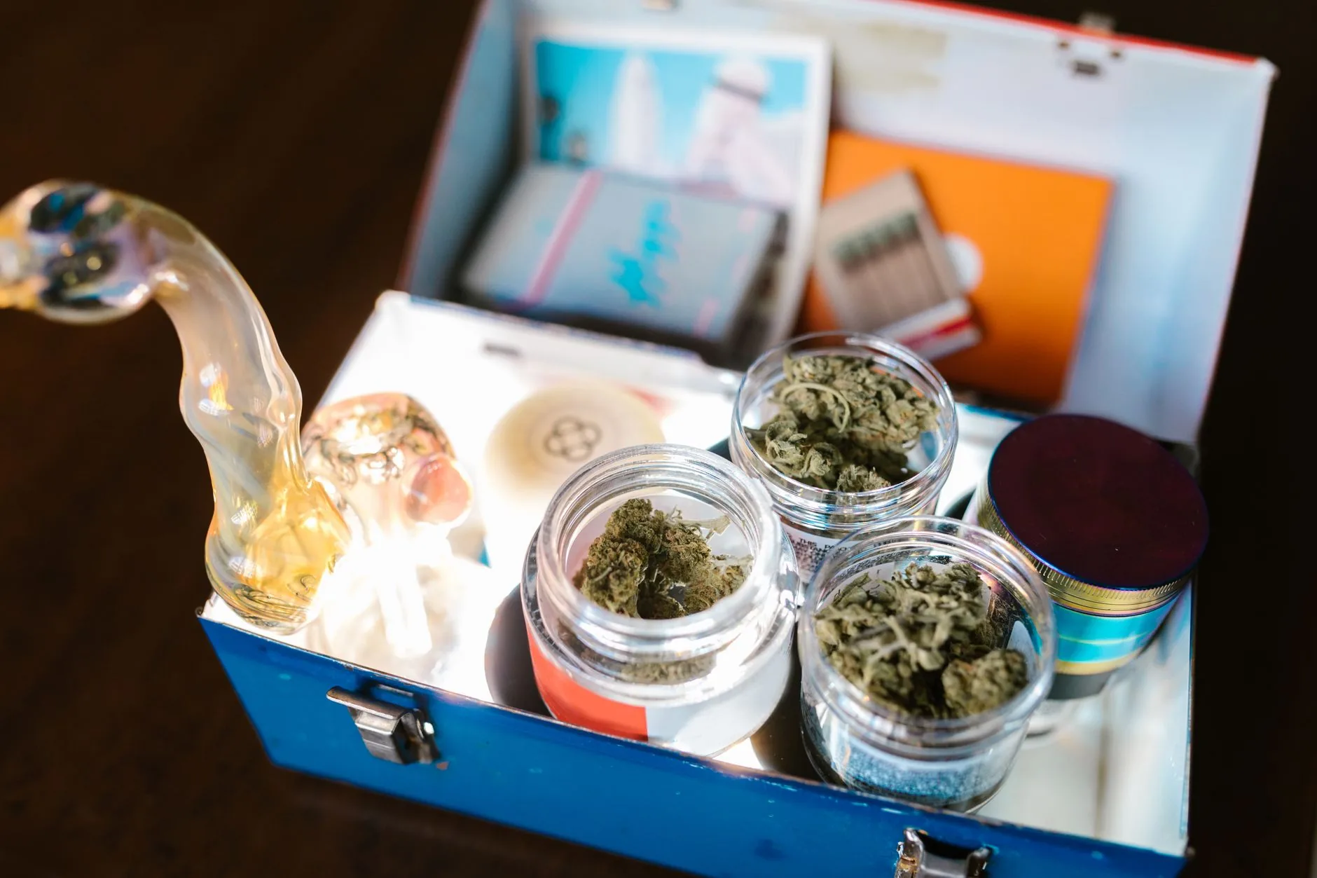 Georgia propõe entrega direta de cannabis medicinal a pacientes