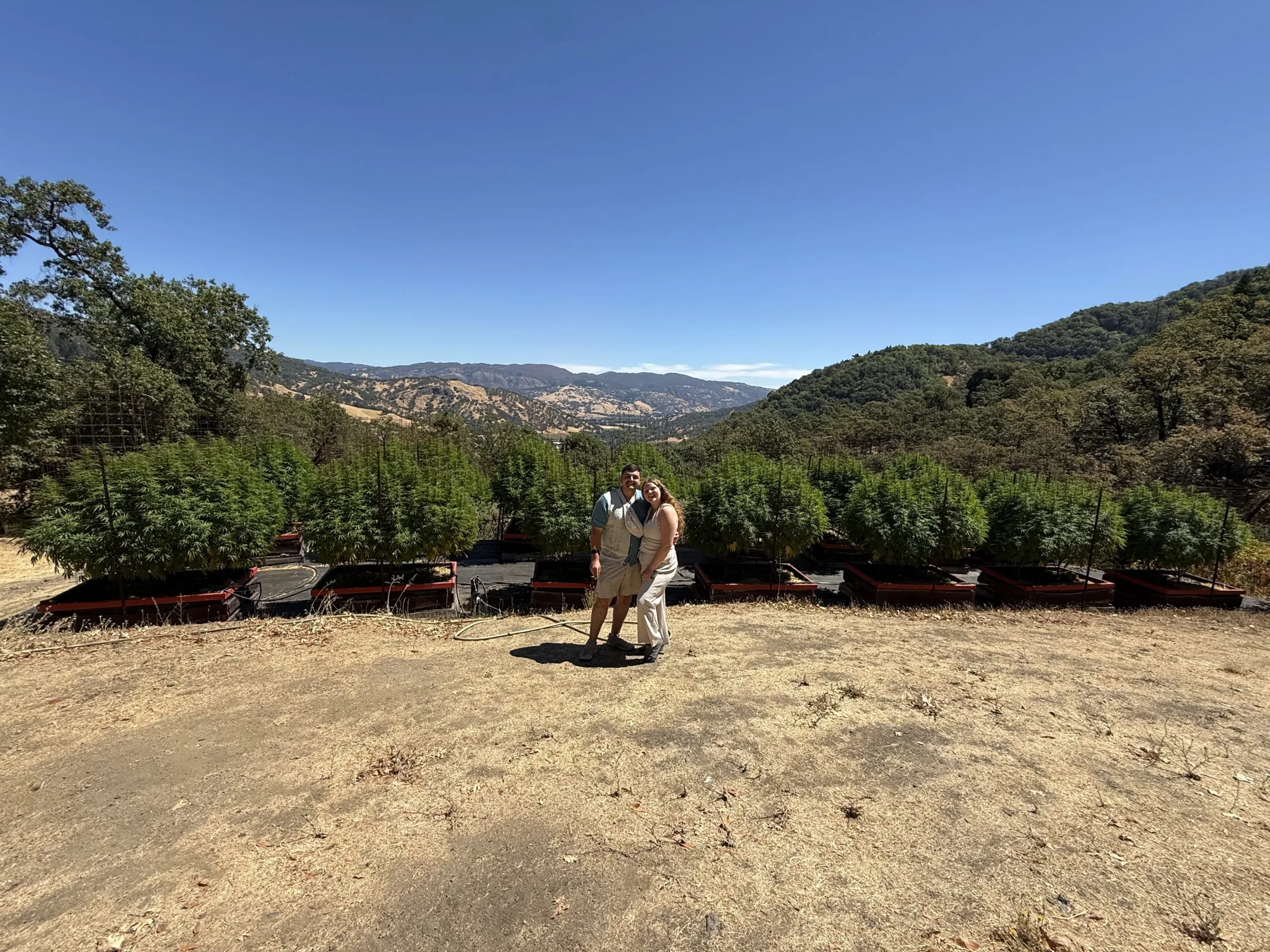 Cannabis Medicinal: Turismo começa na fazenda
