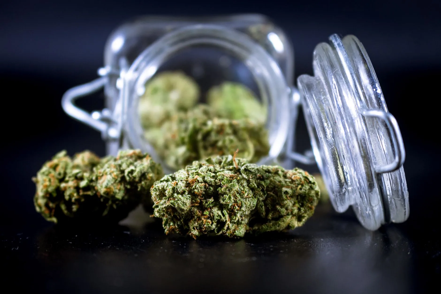 Uso terapêutico de cannabis nos BRICS: dados de 2023