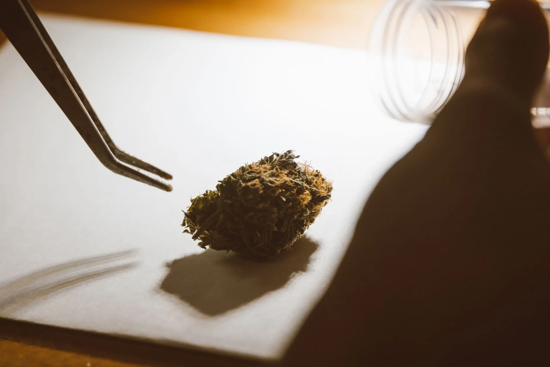 Odores do centro de cannabis medicinal de Pontville afetam moradores