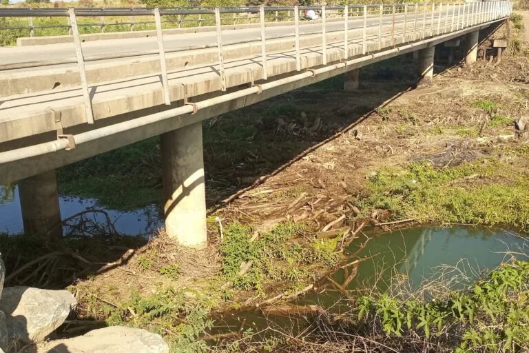 Flores flutuantes ameaçam agricultura e pesca na Laguna Chia, em Malawi