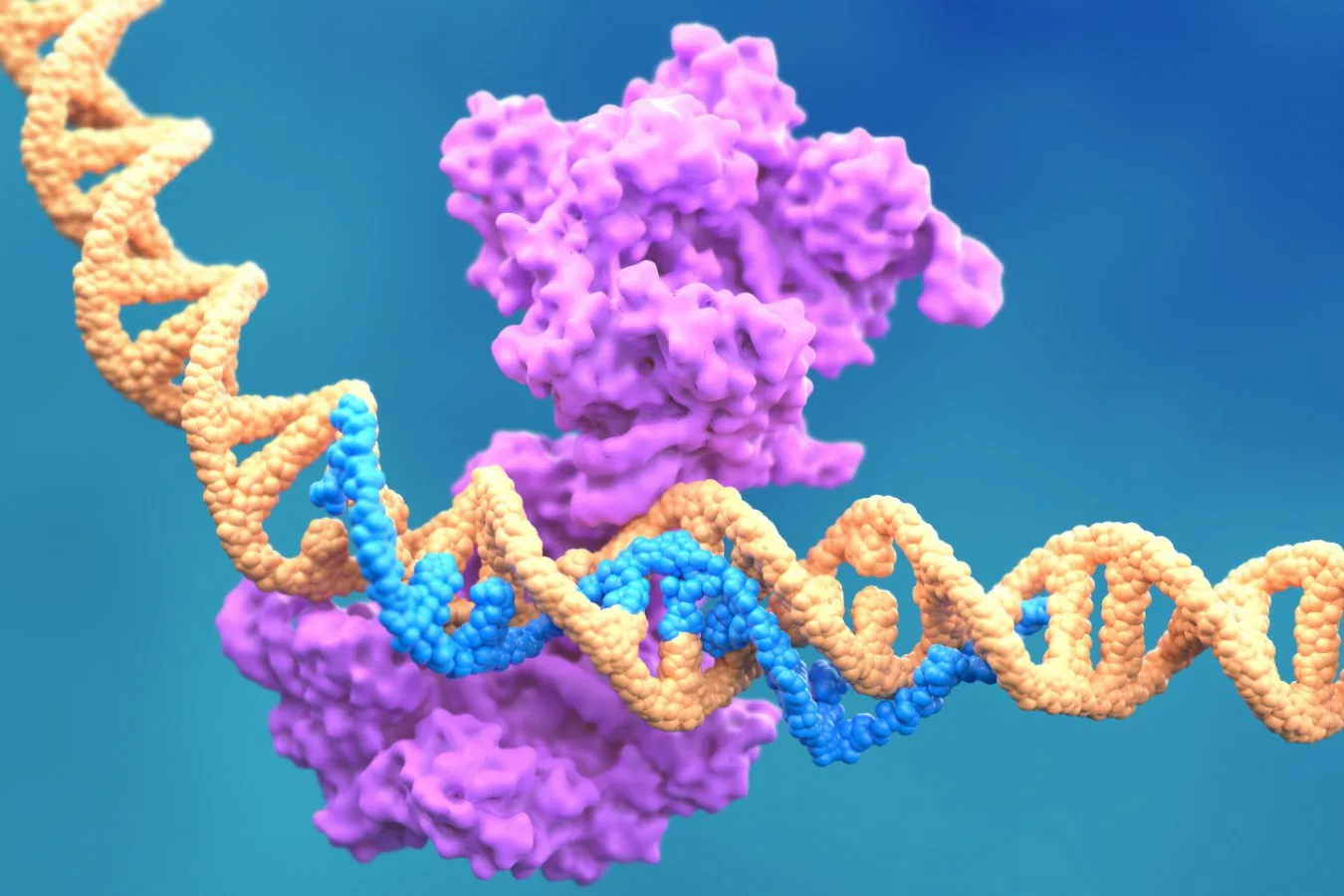 Anthropic revela descoberta de sistema enzimático semelhante ao CRISPR