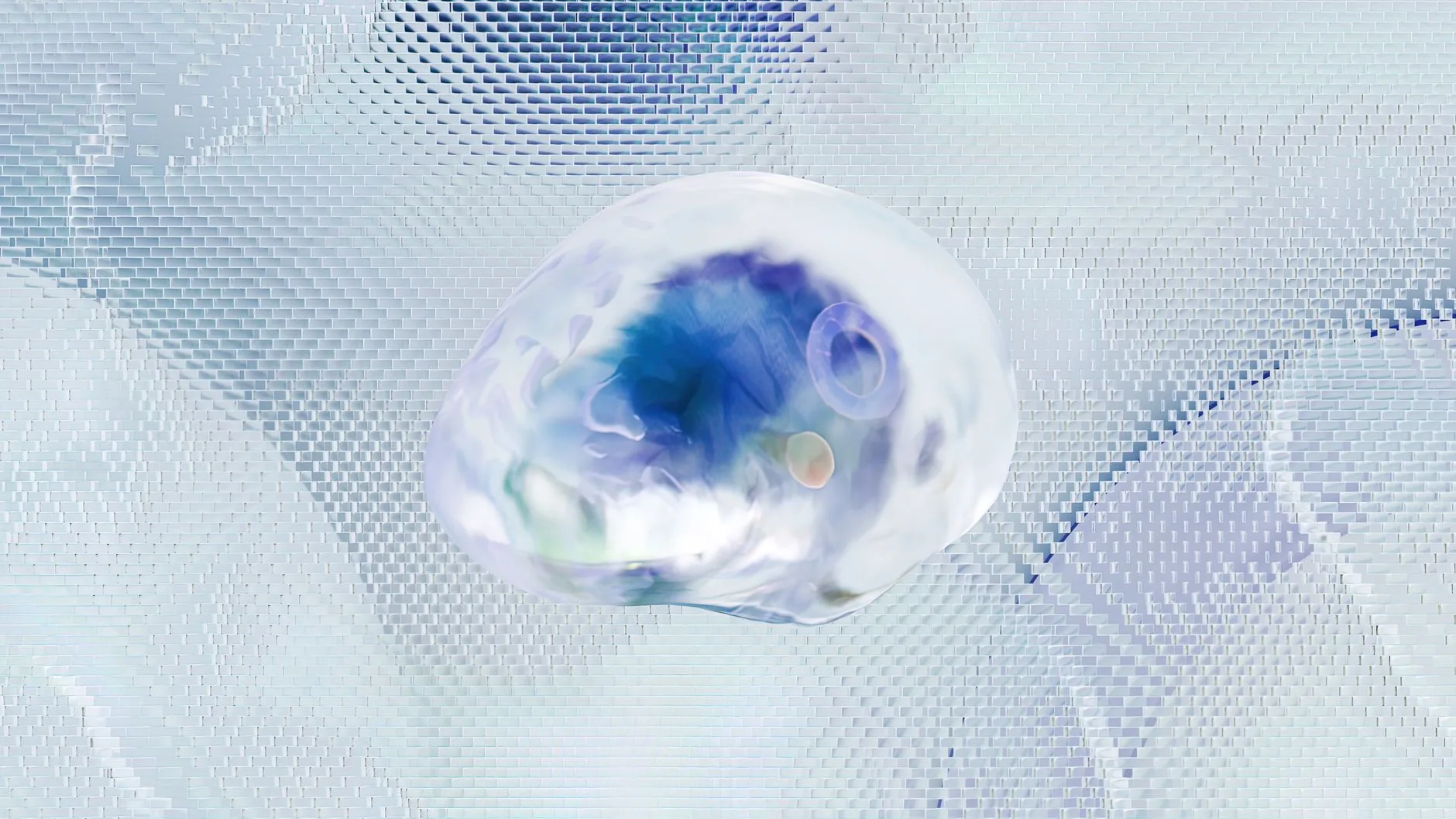 Paradoxo do sono REM: sonhar pode esgotar energia cerebral mesmo com suprimento aumentado